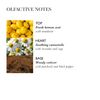 Molton Brown Hydrating Conditioner With Camomile 300 ml