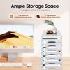 EcoTypee 4 Drawer Desktop Organizer Locking Filing Cabinet Multi-Functional Office Storage (7 Drawer File Cabinet)
