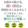 hu-tye (fuces) AR Shampoo 700ml