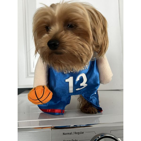 Basketball Jersey  With Ball pet costume  halloween pet parade Fast Shipping