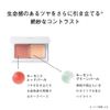 Orbis Glowskin Compact, Cheek Base & Highlight, 1.2 oz (34 g) x 1