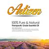 Artizen 30ml Oils - Tea Tree Essential Oil - 1 Fluid Ounce