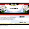 Rupturewort Salve (2 oz, ZIN: 524258) - 3 Pack