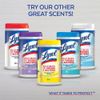 Lysol Disinfectant Spray, Sanitizing and Antibacterial Spray, For Disinfecting and Deodorizing, Spring Waterfall, 19 fl oz