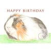 Gus the Guinea Pig - Birthday Card