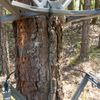 Summit Treestands Shoulder & Tether Straps