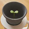 +d Kinome Ceramic Coffee Filter | Toss Coffee Filter