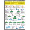 Stretching Exercise Chart Series (A3 Laminated, Trunk and Back)