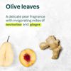 Attitude  Shampoo Nourish Strength  1 Each  16 Oz