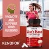 Lion's Mane, Ashwagandha and Cordyceps - Focus and Memory, Nerve Support