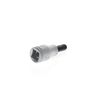 GEDORE Screwdriver bit socket Allen, AF 8 mm, 1/2" 12.5 mm, Screwdriver bit socket, Tool, IN 19 8