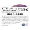 jackson pintail tune+170svg trg tropical gl