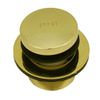 Tip Toe Waste and Overflow ABS Schedule 40, Polished Brass Finish