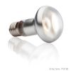 Gex PT2136 8106010 Sunlight Tight Beam 75W