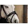 Equipride Working Hunter Bridle with Quick Release Snap Hooks Removable Flash (Full, Brown)