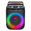 Karaoke Machine for Adults 30W 6.5 in Portable Bluetooth Speaker 2 Wireless Mic