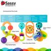 Sassy Shake, Rattle & Chew Baby Box - 4+ Months