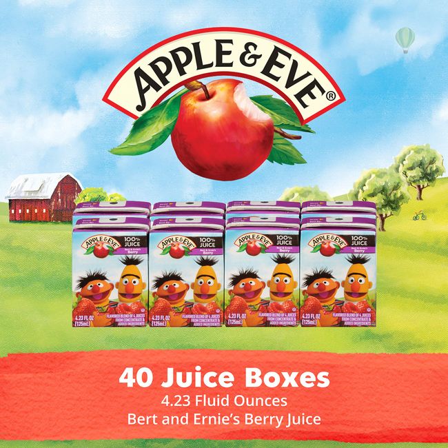 Apple & Eve Sesame Street Bert and Ernie's Berry Juice, 4.23 Fluid-oz, 8 Count, Pack of 5