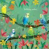 Quay side Cards Fusion Card Collection - Budgies