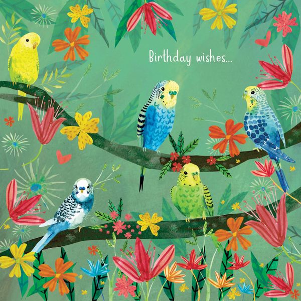 Quay side Cards Fusion Card Collection - Budgies