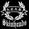 A.C.A.B. s Rear Window Sticker 30 cm