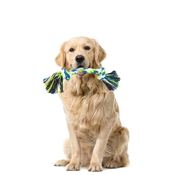 Affectionate Pets Dog Rope Toys Indestructible - Small to Medium Dog Tug Toys for Chewers Tug of War Rope for Interactive Playtime and Training, Premium Cotton Rope Toys for Dogs Pull Toy