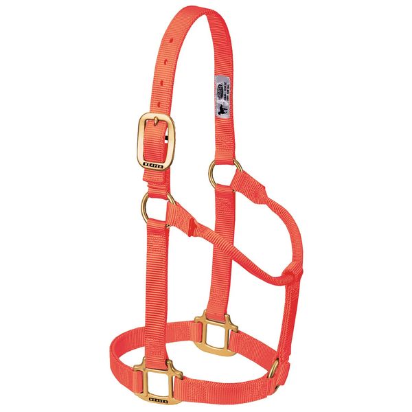 Weaver Leather Original Non-Adjustable Nylon Horse Halter, Large, Blaze Orange