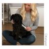 (5-Pack) Wahl Pet 2 in 1 Finishing & Flea Comb detect fleas, flea eggs & ticks