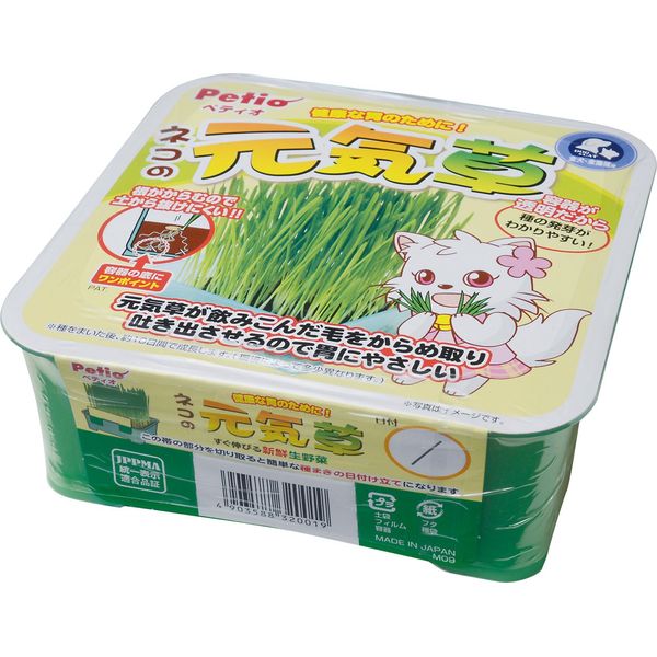 ペティオ (Petio) ネコの元気草