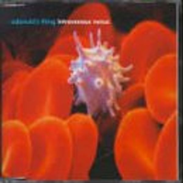 Intravenous Venus [CD 1]