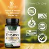 Digestive Enzymes with Probiotics and Bromelain - Extra Strength Probiotic Digestive Health Supplement for Women and Men - Supports Digestion, Gas, Bloating, and Gut Health, Non-GMO - 60 Capsules