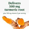 Daily Turmeric Nutrient Booster Powder 30 Powder