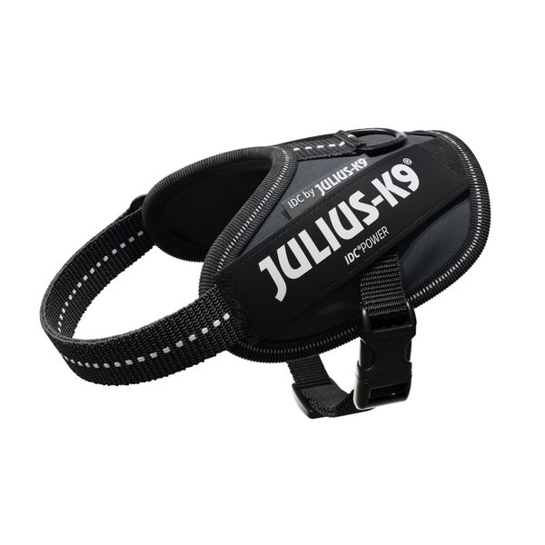 Julius-K9, 16IDC-ANT-B2, IDC Powerharness, dog harness, Size: Baby 2, Anthracite