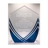 Personalized Award Making The Difference, Customizable Solid Acrylic Trophy Shield Shaped, Business Awards with Custom Text
