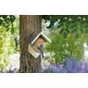 Fallen Fruits FB213 Peanut Butter House, Brown