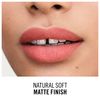 LASTING FINISH EXTREME MATTE lipstick #840