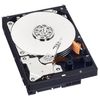 Western Digital WD10EZEX Caviar Blue 1000 GB interne