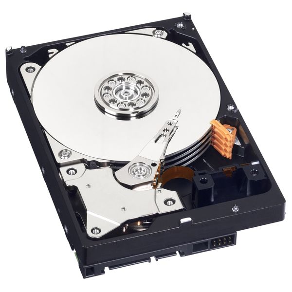 Western Digital WD10EZEX Caviar Blue 1000 GB interne