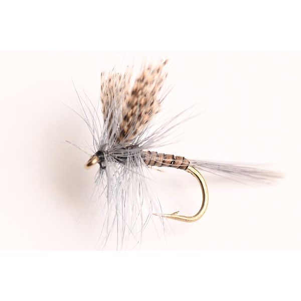 Blue Wing Olive Quill Gordon Dry Fly, 6-Pack (12#), Natural