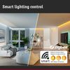 Paulmann 50045 SmartHome ZB MaxLED Switch/dimm Control max. 144W 24V DC White/Grey Plastic