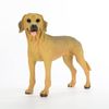 Conversation Concepts Rhodesian Ridgeback Original Dog Figurine (4in-5in)
