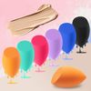 Audamp Makeup Sponges Makeup Sponge Puff Tex Free Wet & Dry (Pack of 6)