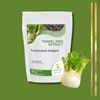 Fennel Seed Extract 480mg Foeniculum Vulgare x60 Capsules