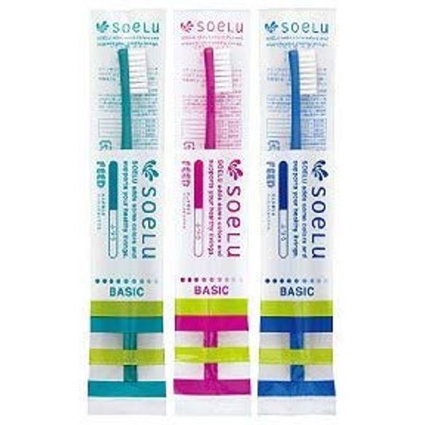 Soel Soelu Toothbrush BASIC General Adult Set of 10 Regular Green