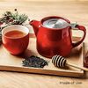Forlife DD899RD Stump Teapot, 18 oz., Red