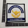 c 1990s (?) LIVINGSTON PRACTICAL NURSING PROGRAM Patch (Medical Related) 00TK