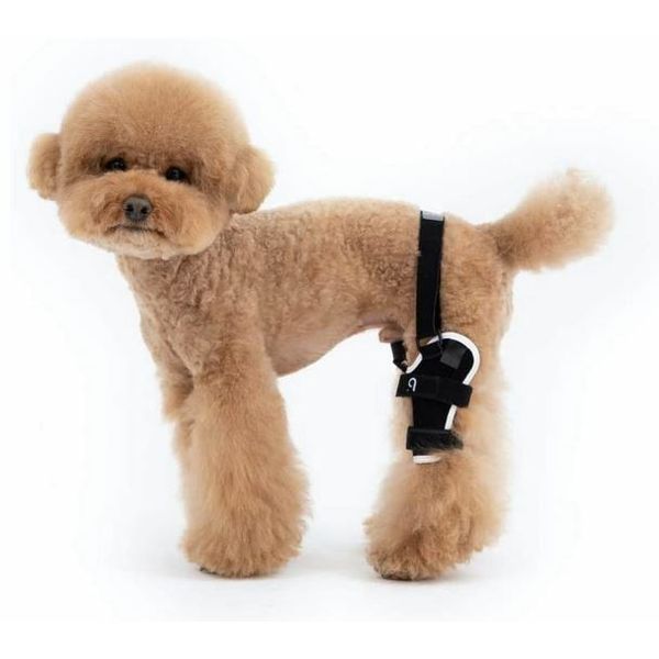 Poveo hinged Dog Knee Brace with Patella Tracker-Large-