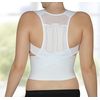 Hydas Back Support Belt