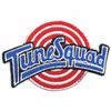 Tune Squad Basketball Team Logo Embroidered Iron On Patch