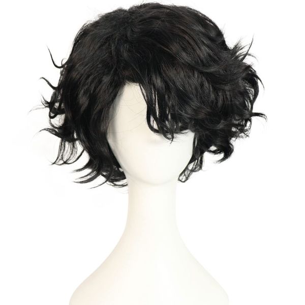 HUNIGIR Black Wig for Men Short Fluffy Curly Black Wig Male Heat Resistant Synthetic Hair Wig (Black)